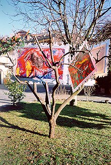 accattino05