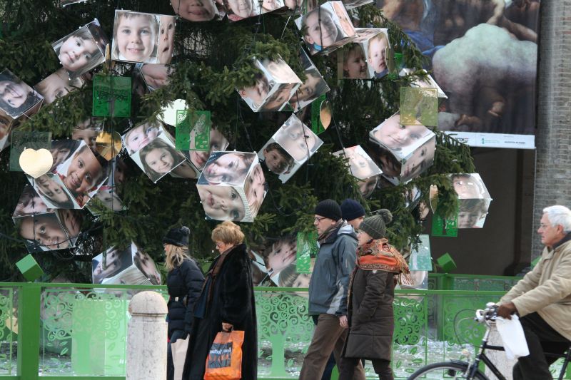 albero2008046
