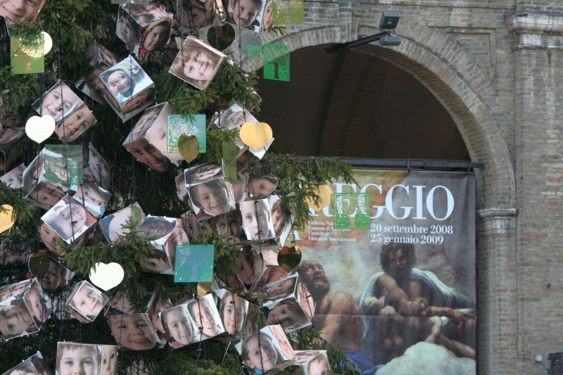albero2008048