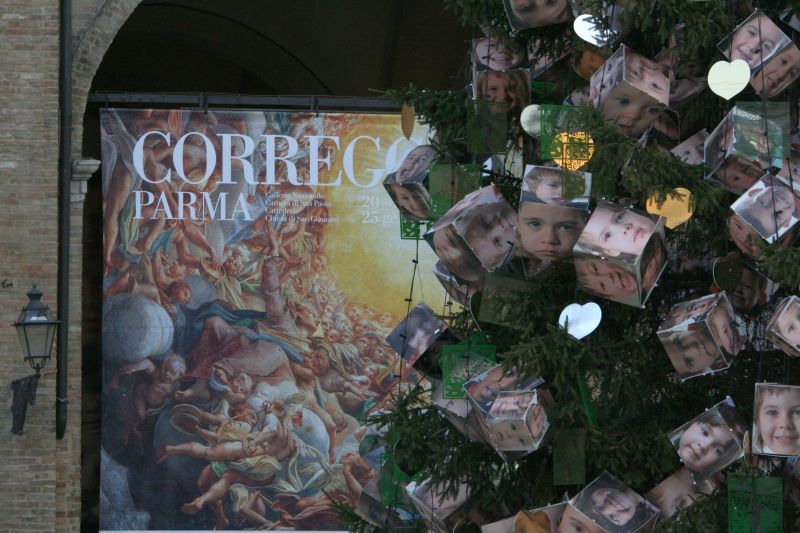 albero2008050