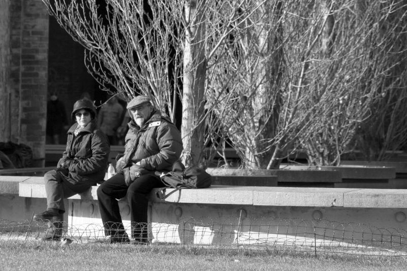 albero2008118
