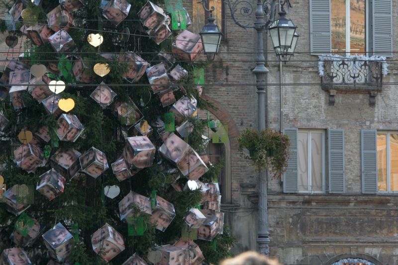 albero2008159