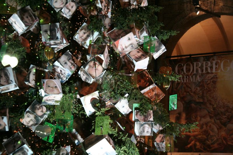 albero2008164