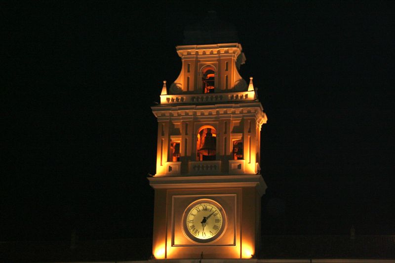 albero2008169