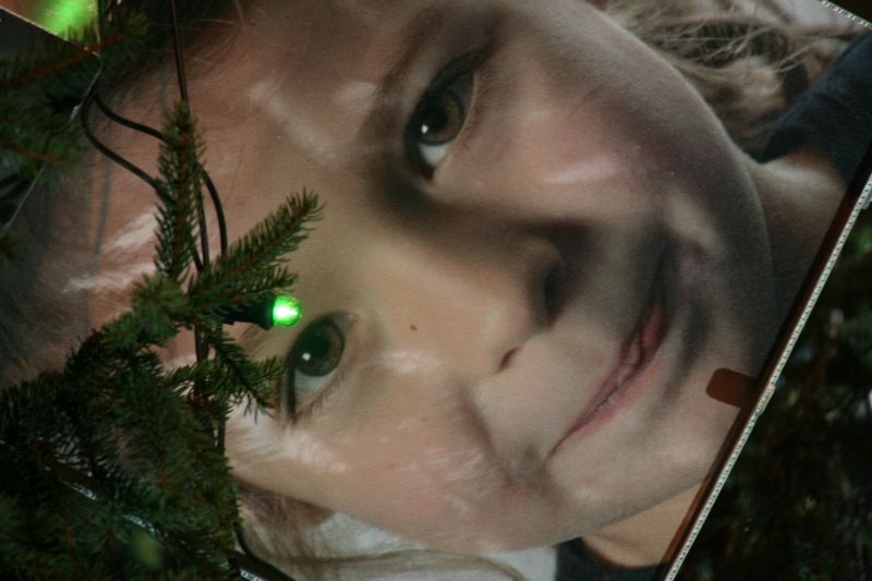 albero2008190