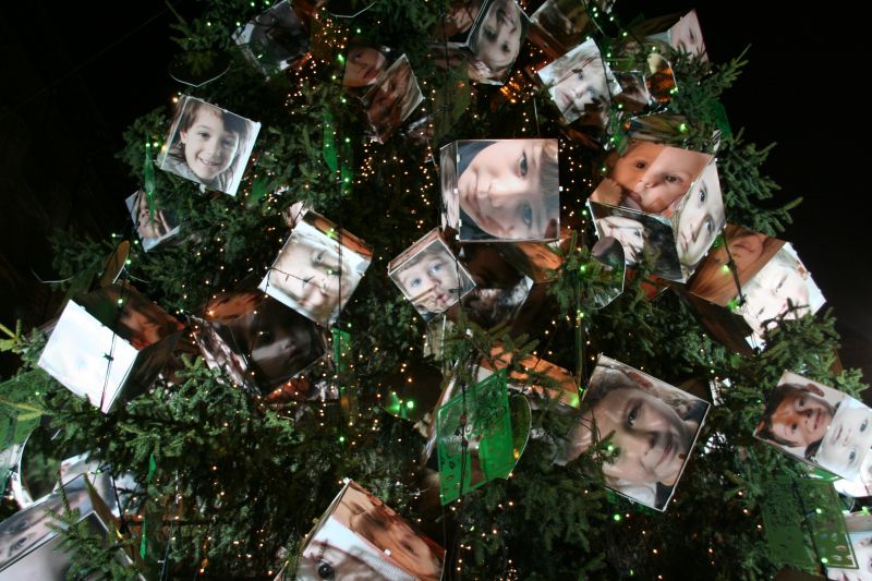albero2008191