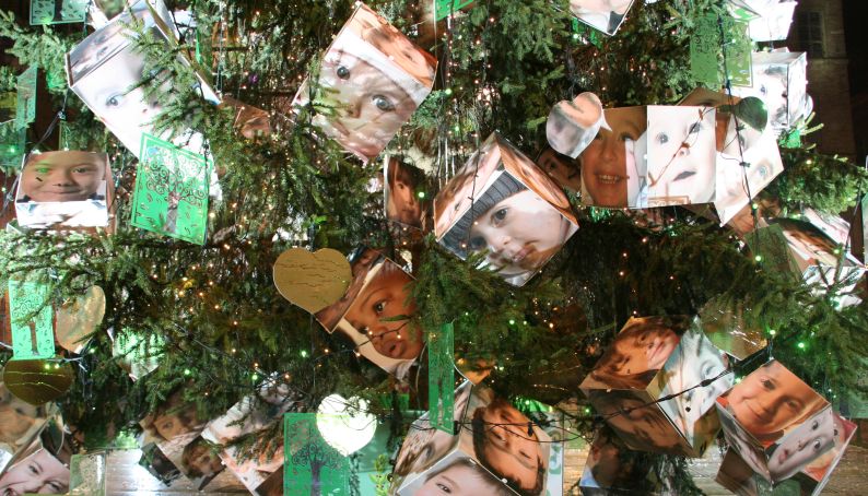 albero2008192