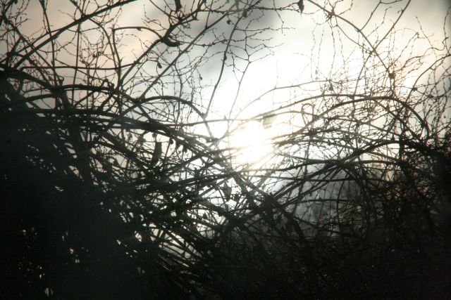citta049