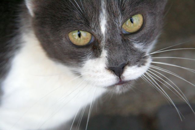 citta053