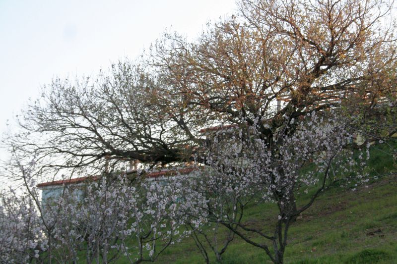 borgopiazzamarzo2011 102