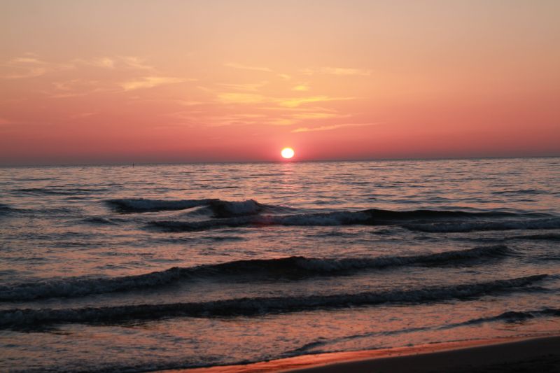 IMG_0930