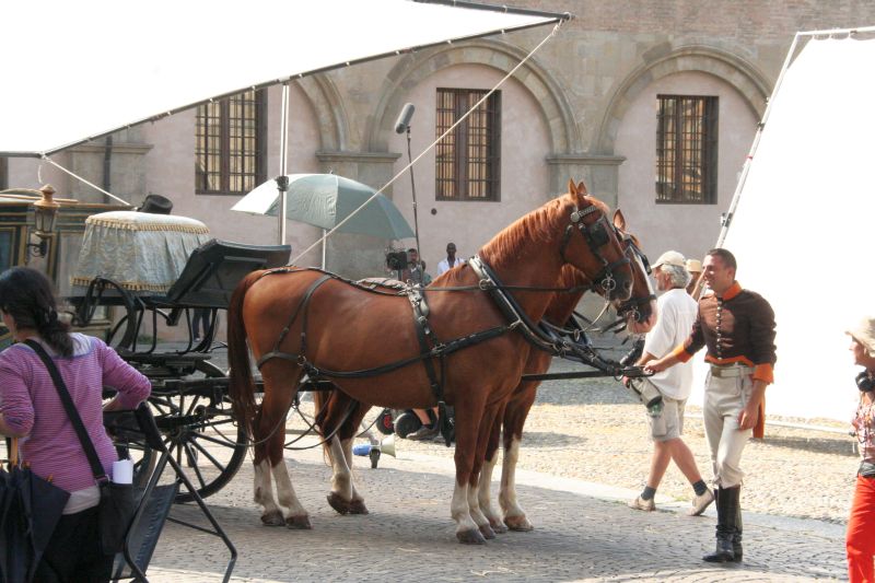 certosa025