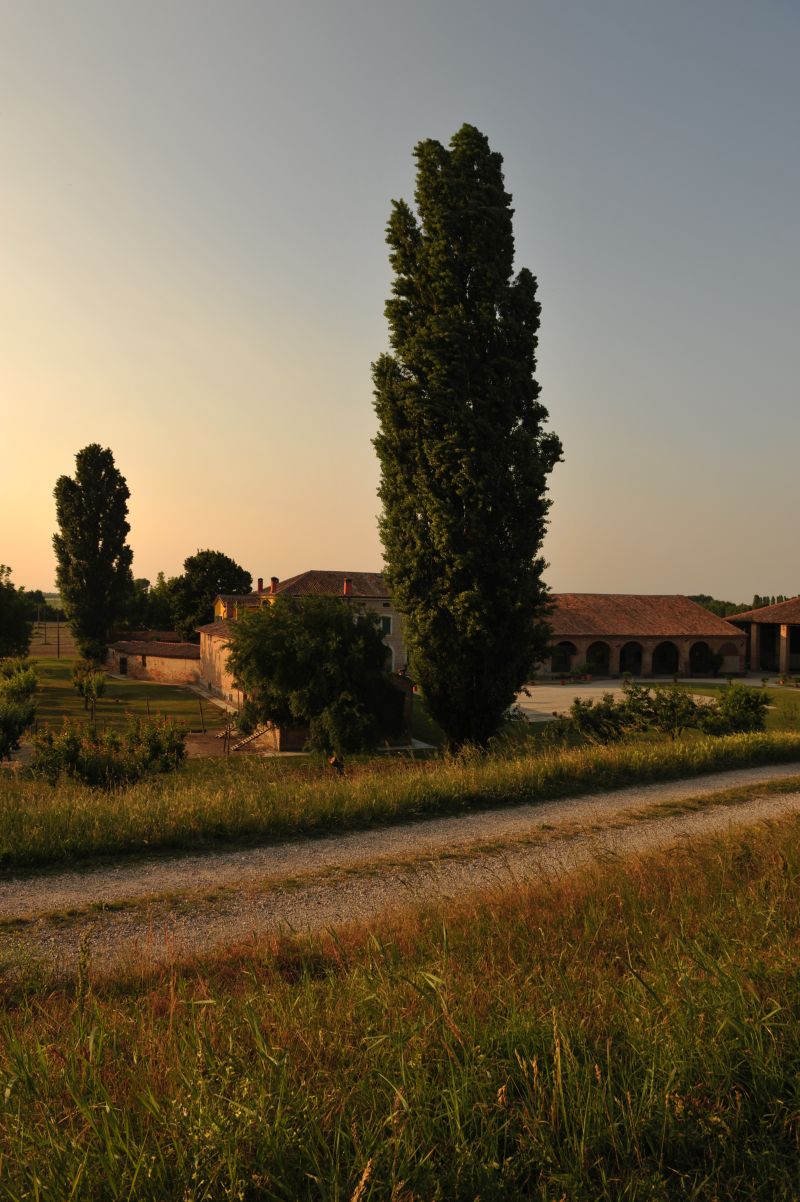 DSC_8804