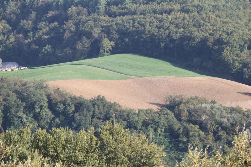 IMG_9494