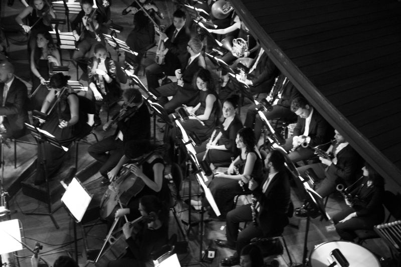 orchestra_5441
