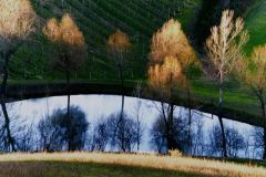 barbiano-pr