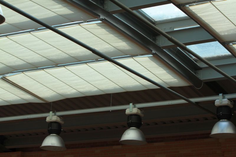 IMG_5734