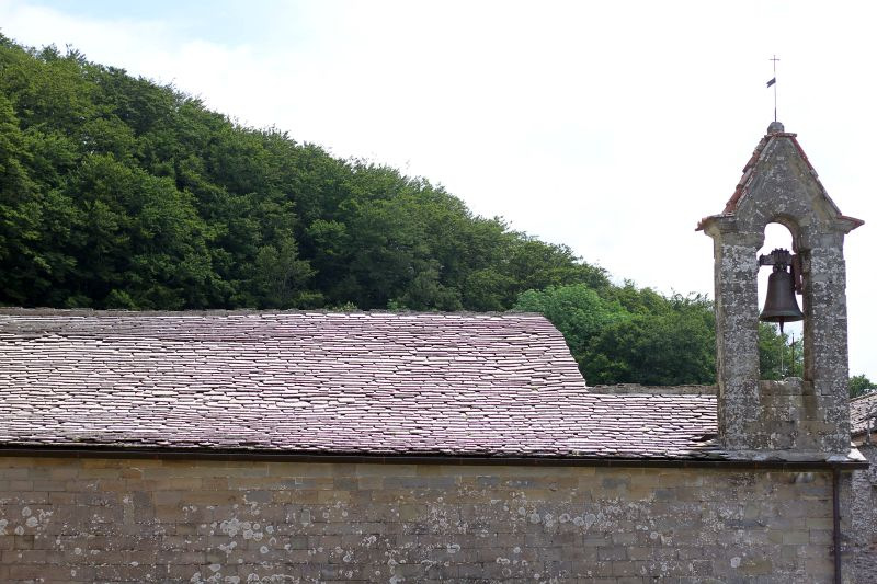 campana-img_9861