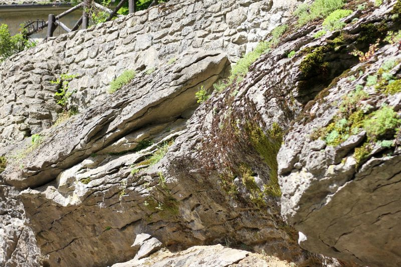rocce-img_9826