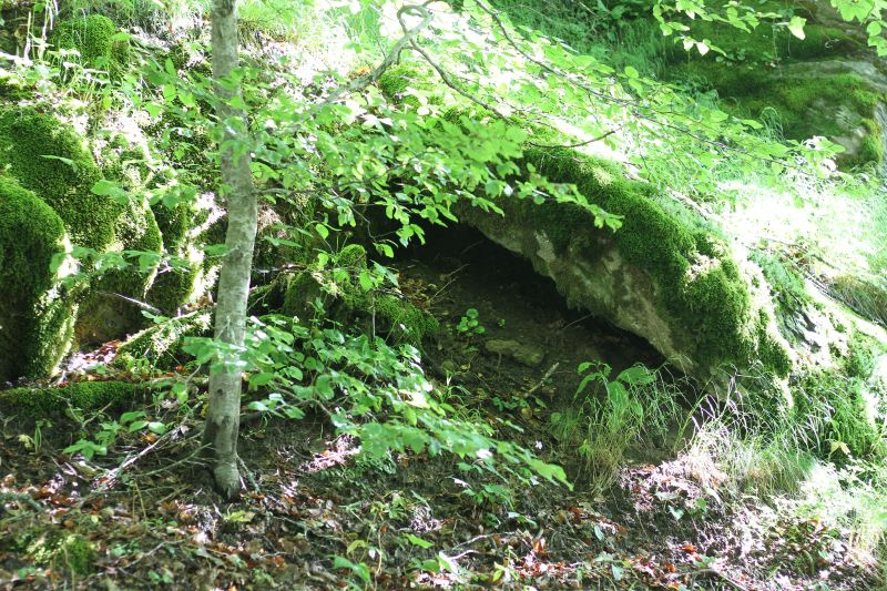verde-img_9816