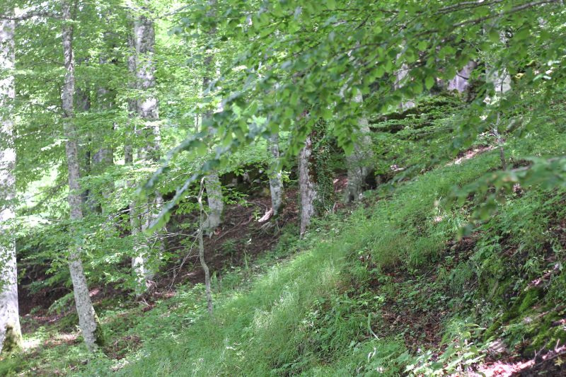verdepiante-img_9815