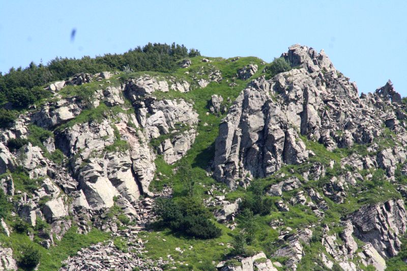 17luglio2010 046