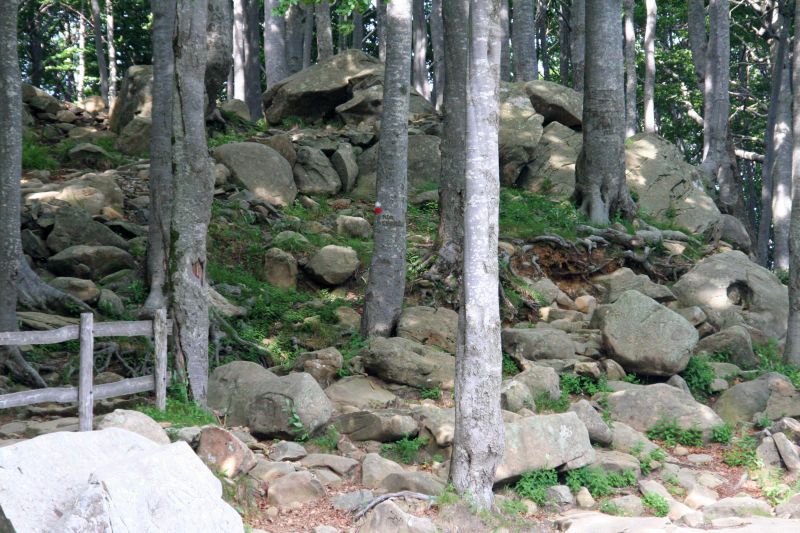 17luglio2010 068