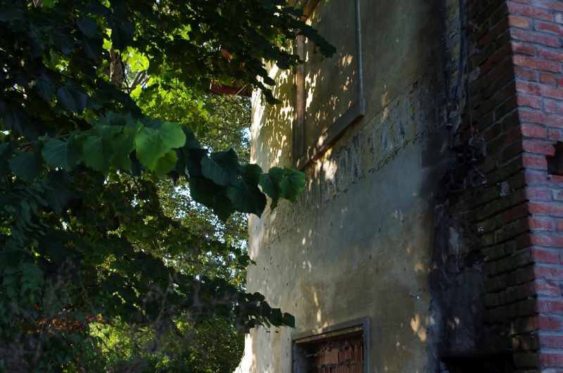IMGP0123