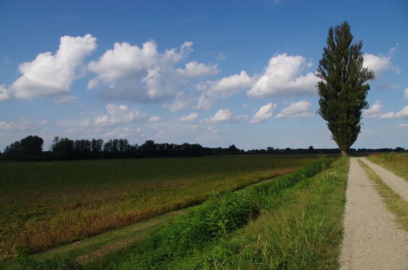 IMGP0244