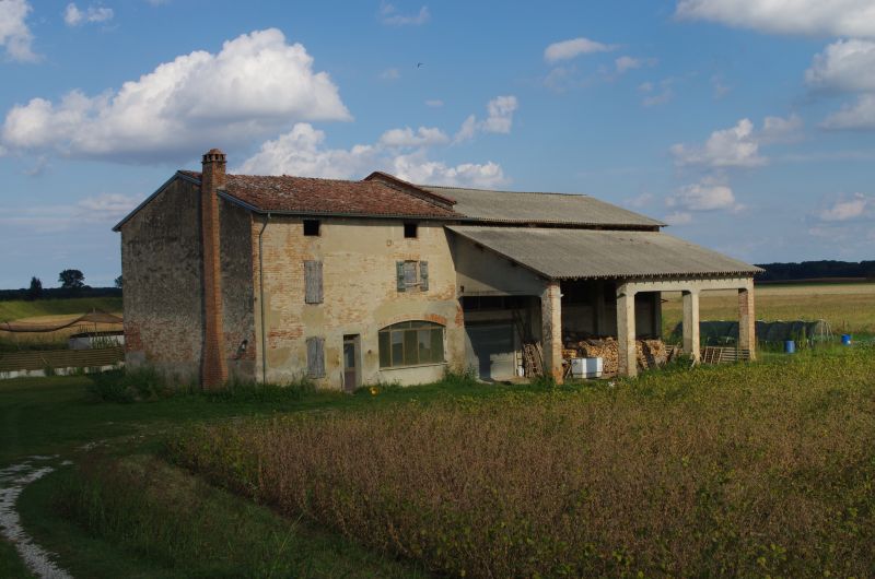 IMGP0245