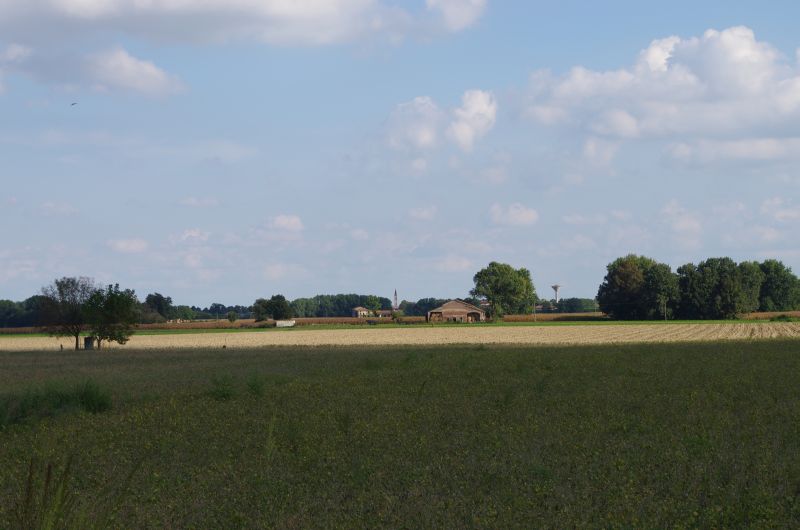 IMGP0247