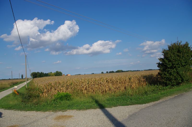 IMGP0311