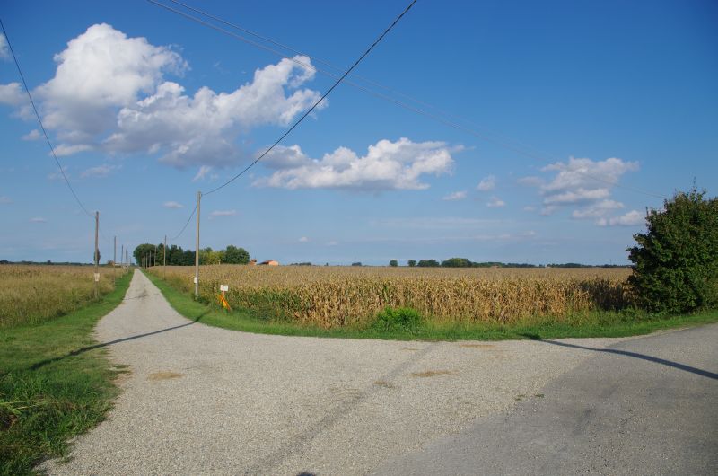 IMGP0315