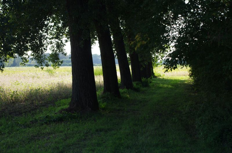IMGP0338