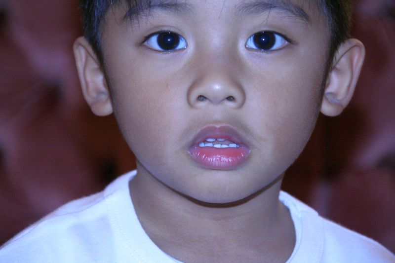 natale2008122