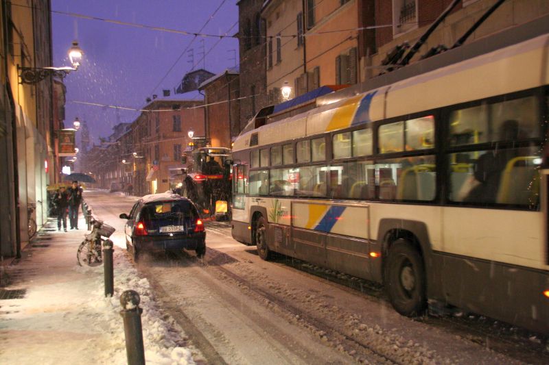 parma245