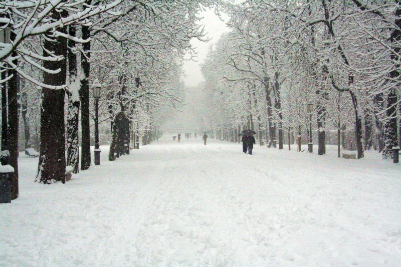 parcoducale138