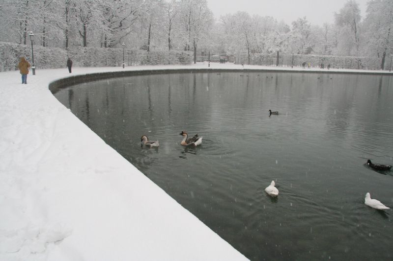 parcoducale182