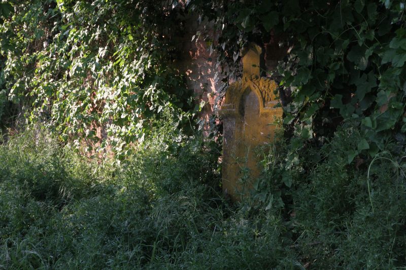 IMG_8499