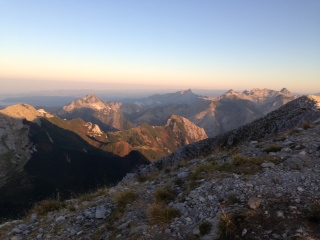 pania5