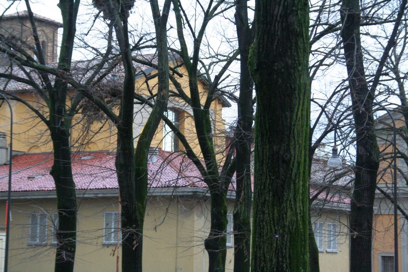 primodicembre09 066