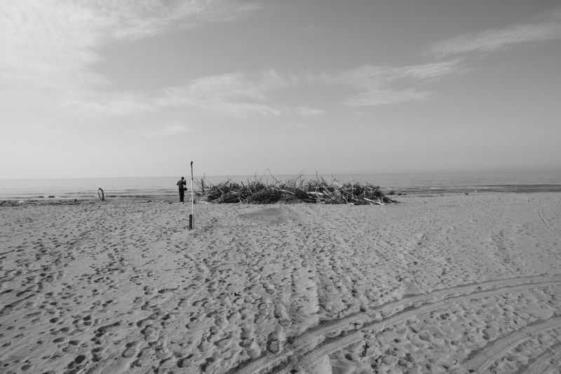 IMG_0251