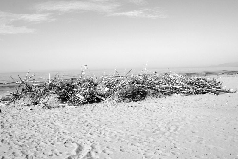 IMG_0252