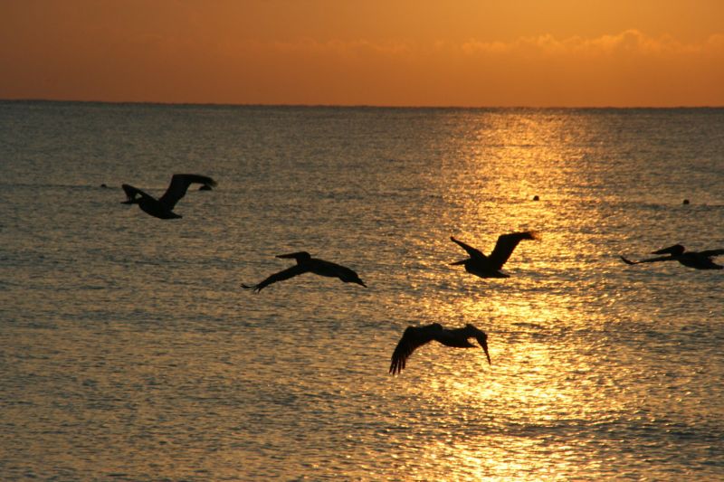 akumal