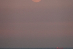 dover