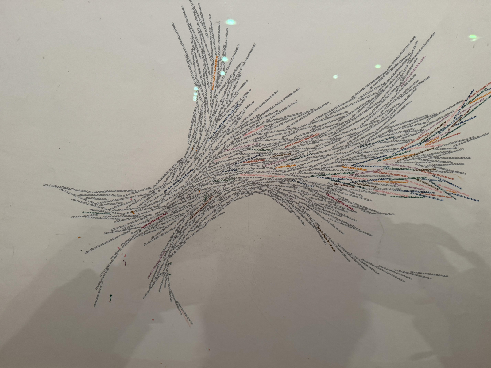 volo