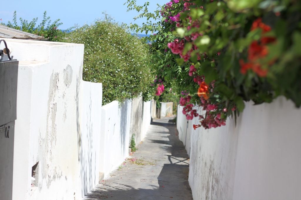 viottolo-fiorato-stromboli-img_0264
