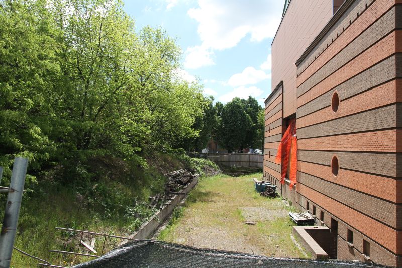 IMG_7804