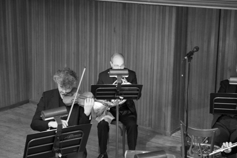 orchestra_8135