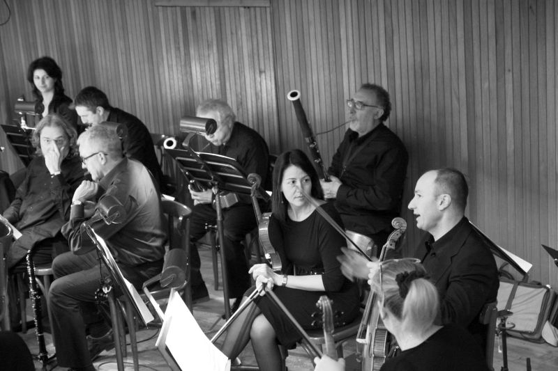 orchestra_8164